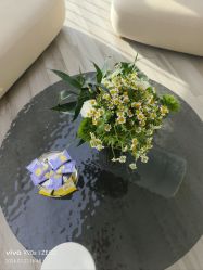 -HEYAN荷妍专业脱毛连锁机构