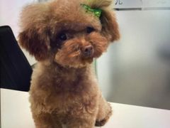 -宠颐生中康贝怡动物医院