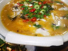 藤椒鱼-双流老字号董蹄花(机场南四路店)