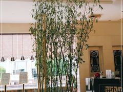 -春兰国宾馆(凤城河风景区老街店)