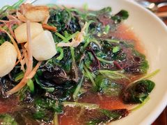 上汤红苋菜-君悦酒店·1881·北京烤鸭