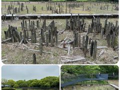 -河姆渡遗址博物馆