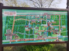 -黄海国家森林公园