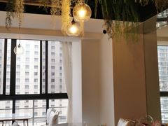 -Husky Go! 哈士奇体验馆·宠物咖啡厅狗咖