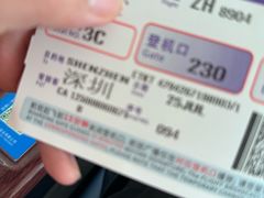 -郑州新郑国际机场-T2航站楼
