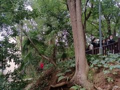 -马王堆汉墓遗址