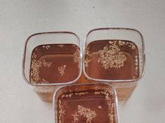 -简象咖啡CAFE ELE JANE(满陇桂雨店)