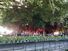 -胡里山炮台