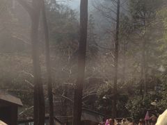 宁海森林温泉度假村-天明山温泉大酒店