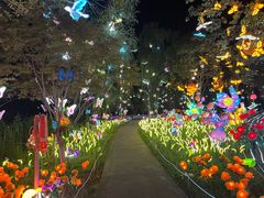 -洋湖国家湿地公园