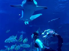 -太平洋海底世界