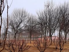 -古塔公园