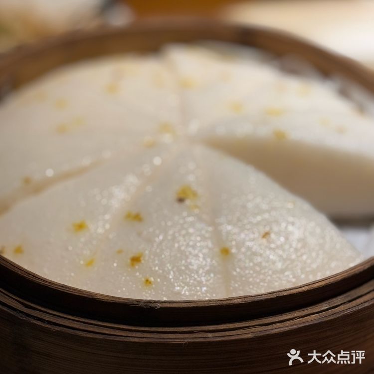 大爱河豚鱼
