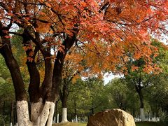 -艾溪湖湿地公园