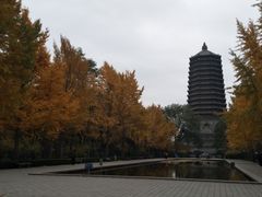 -玲珑塔公园