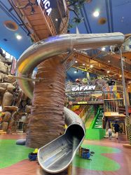 -卡通尼·Safari非洲探索乐园·生日会(金桥国际商业广场店)