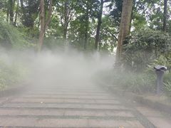 -成都市活水公园