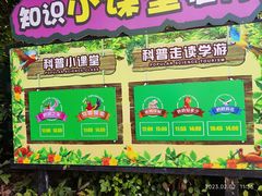 -广州长隆飞鸟乐园