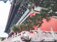 -北京市劳动人民文化宫(太庙)