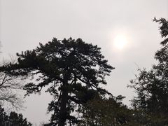 -香山公园