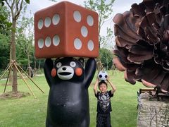 -上海海湾国家森林公园