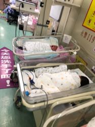 -复旦大学附属妇产科医院(杨浦院区)