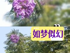 -广州珀丽酒店