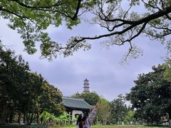 -江心屿景区