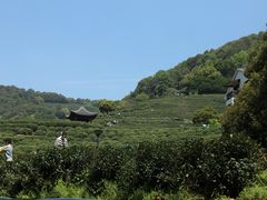 -龙井壹号·茶缘山景宴(龙井村店)