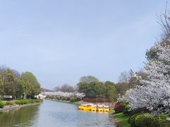 -上海海湾国家森林公园