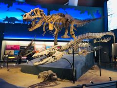 -贝林大翅鲸简餐厅(国家海洋博物馆店)