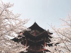 -西安青龙寺遗址景区