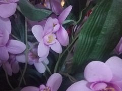 -EPOQUE·一刻花店(兴业太古汇店)