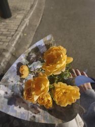 -上海薇琳医疗美容医院