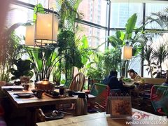 大堂-大头椰·椰子鸡火锅(南宁万象城店)