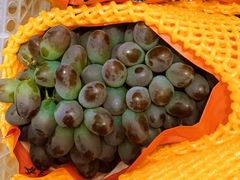 -江杨农产品批发市场