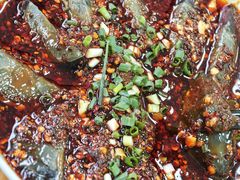 -苗侗地道红酸.酸汤鱼·酸汤牛肉