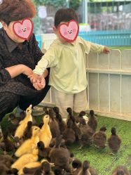 点击看大图 -萌宠亲子动物乐园(槐房万达店)