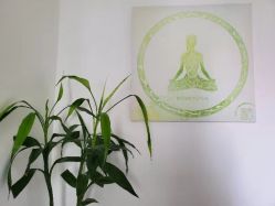 点击看大图 -瑜舍连锁瑜伽
