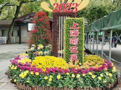 -上海共青森林公园