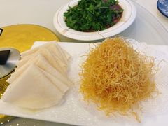 -丁老爷子苏香圆