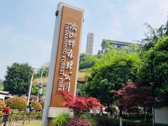 -铁山坪森林公园