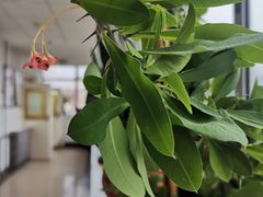 -北京中医药大学东方医院(方庄院区)