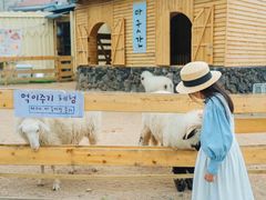 -HERRE·FARM 赫尔露营农场·团建聚会包场