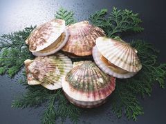 -汪姐海鲜(侨港总店·金冠好店)