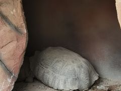 -灵玲国际马戏城