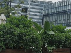 -星巴克(讯美科技广场店)