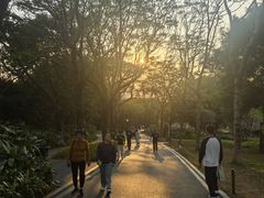 -长洲岛