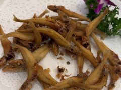 -外沙疍家棚酒楼