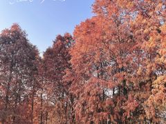 -厦门园林博览苑
